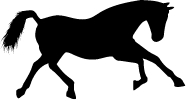 DIACONTINUS