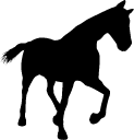 DIARADO